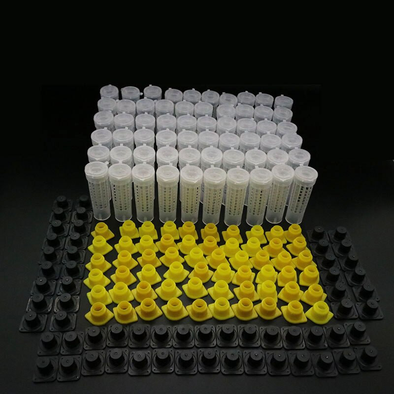 60 ks profesionálna včelárska klietka na kráľovnú, chov kvalitných ochranných krytov, plastová klietka na včely, veľkoobchodné náradie na včely