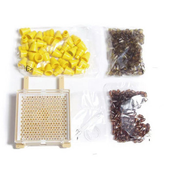 Германия Jenter Комплект за отглеждане на кралица Nicot Bee Queens Rearing System System Bee Larva Move Cage Инструмент за стоки за консумативи за пчелар