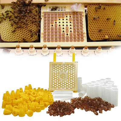 Германия Jenter Комплект за отглеждане на кралица Nicot Bee Queens Rearing System System Bee Larva Move Cage Инструмент за стоки за консумативи за пчелар