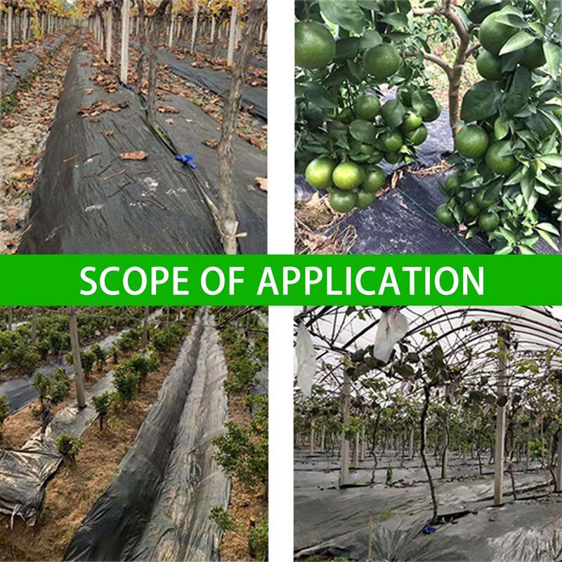 Záhradné kolíky na okraje krajiny 10 palcové záhradné kolíky na okraje krajiny 10 palcové kolíky na okraje trávnika Záhradné kolíky na okraje krajiny