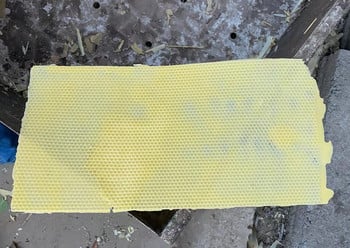 Μαλακό PVC Beekeeper Beeswax Mold Foundation Bee Hive Βάση Φύλλο Τύπου Καλούπι Φύλλο Τύπου Κεριού μέλισσας Μούχλα Μελισσοκομικός εξοπλισμός Εργαλεία