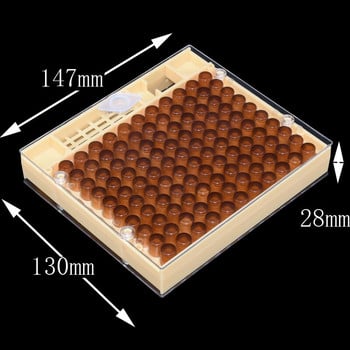 Beekeeping Queen Rearing Cupkit Box 120x Brown Cell Cups System Cupu larve Tools The Queen\'s Box System Plastic Nicot Cage Tools