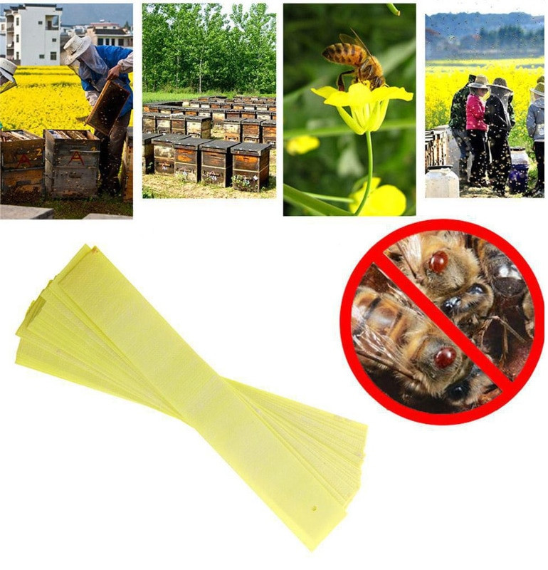 200 vnt bičių vaistas Bičių šukavimas fluoramido chrizantemos juostelė Bičių aitvaras bičių narkotikas bičių narkotikas bitininkystė