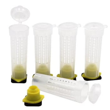 Complete Queen Rearing System Kit King Κουτί Καλλιέργειας Πλαστικό Bee Bees Cell Cups Cupkit Cage Beekeeping Tools Προμηθευτής