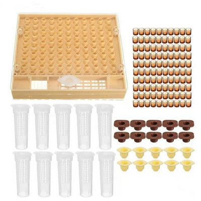 Pilnas karalienės auginimo sistemos rinkinys Karaliaus kultivavimo dėžutė plastikinė bičių bičių ląstelių ląstelių puodeliai Cupkit narvelio bitininkystės įrankių tiekėjas