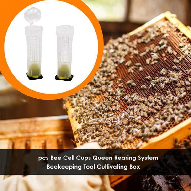 Kompletná súprava na odchov kráľovných, pestovateľská klietka pre včely, bunkové kelímky, sada klietok, dodávateľ včelárskych nástrojov