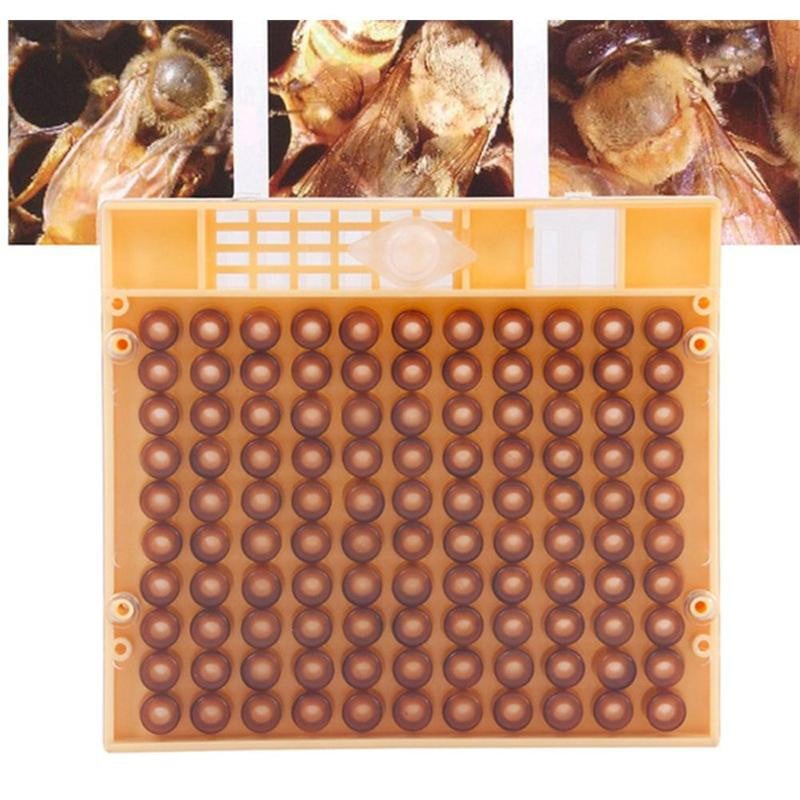 Kompletná súprava na odchov kráľovných, pestovateľská klietka pre včely, bunkové kelímky, sada klietok, dodávateľ včelárskych nástrojov