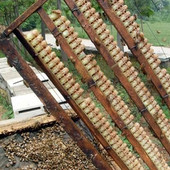 6 ks včelárskych pásikov s materskou kašičkou, dvojité riadky, otvory, včelia mliečna dužina, zberný plech, plastové včelie náradie, vybavenie, potreby