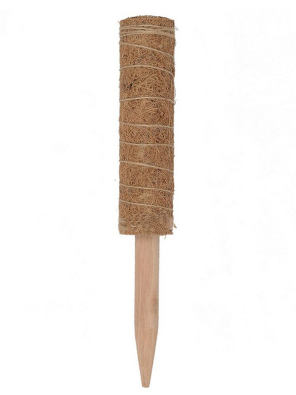 Veľkoobchod 50cm/40cm/30cm/sada Rastlinná šplhacia kokosová totemová tyč, spojiteľná záhradná podporná tyč, držiaky na kvety