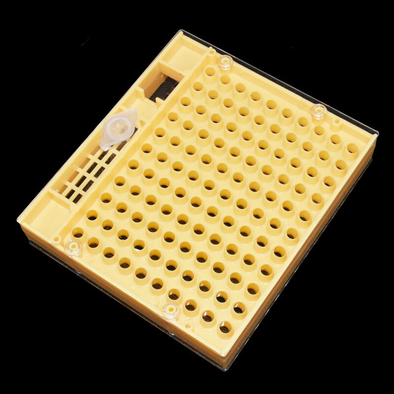 1 vnt Bitininko bitininkystės įrankiai Nicot Queen bičių auginimo sistema bitininkystei Plastikiniai Nikot narvelio įrankiai Karališkasis karaliaus narvas