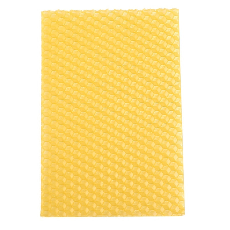 50 vnt. Bitininkystės avilys Bitininkystės korių pagrindo rėmas Avilio sodas Avilio bitininkystės įrankiai