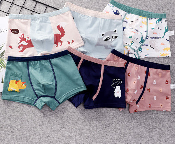 Vaikiški bokseriai berniukams