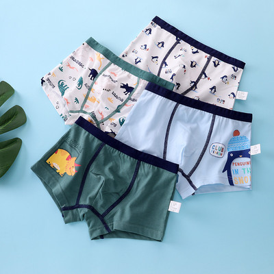 Vaikiški bokseriai berniukams su skirtingais raštais