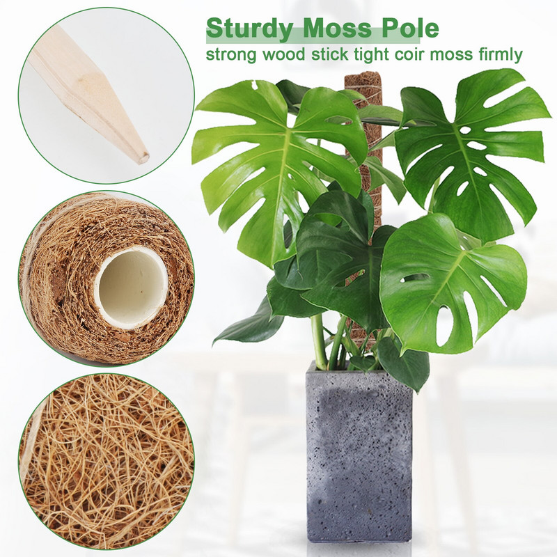 2 τεμ. 40cm Σετ πόλων βρύου για τυρί Γλαστράκι στοιβαζόμενο ραβδί βρύου Δεσμοί φυτών Στύλος κοκοφοίνικα για φυτά σε γλάστρες Εσωτερικός κήπος