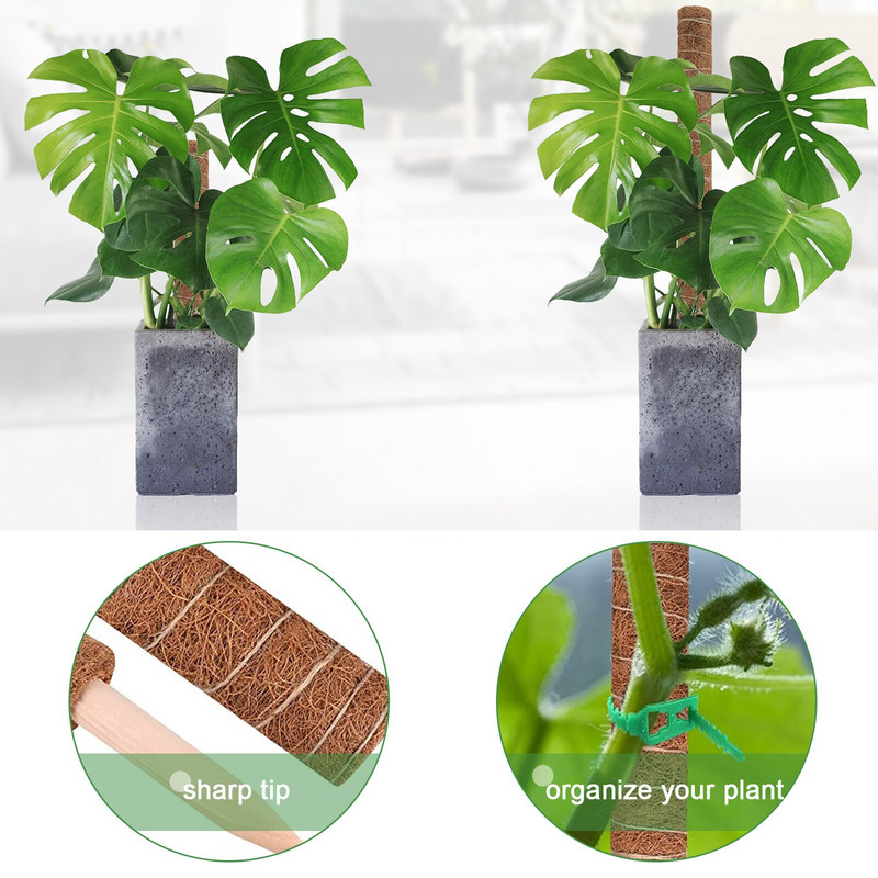 2 τεμ. 40cm Σετ πόλων βρύου για τυρί Γλαστράκι στοιβαζόμενο ραβδί βρύου Δεσμοί φυτών Στύλος κοκοφοίνικα για φυτά σε γλάστρες Εσωτερικός κήπος