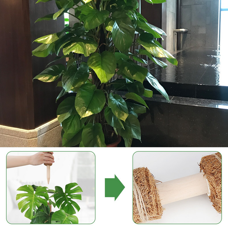 2 τεμ. 40cm Σετ πόλων βρύου για τυρί Γλαστράκι στοιβαζόμενο ραβδί βρύου Δεσμοί φυτών Στύλος κοκοφοίνικα για φυτά σε γλάστρες Εσωτερικός κήπος