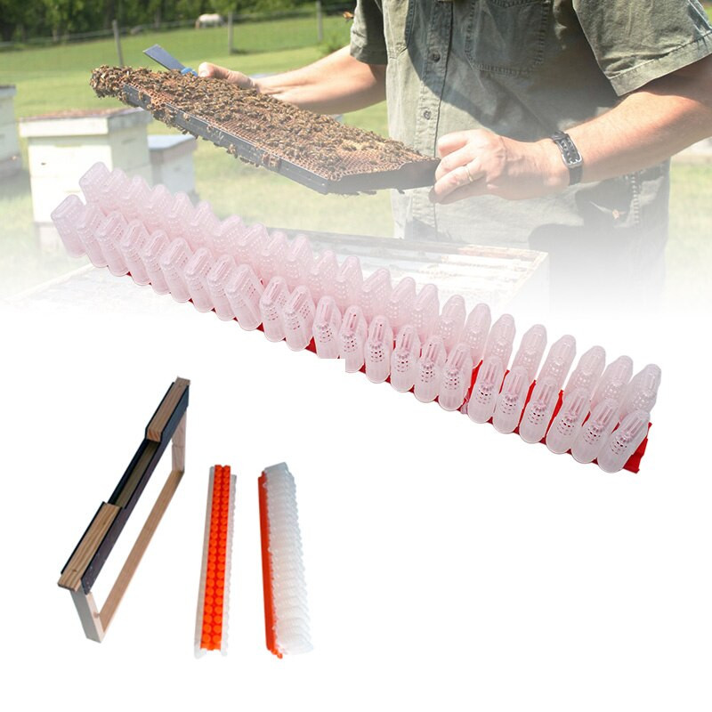 Odchov včelích matiek JZBZ Prepravná tyč Rám na uloženie matiek JZ-BZ