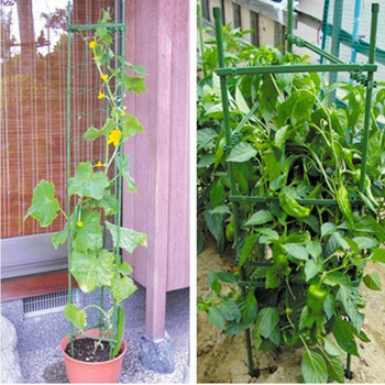 Клетки за растения Клетки за домати Изключително здрави пръти Подпорна скоба за растения Здрав дом за вертикални катерещи се растения Консумативи за градинарство