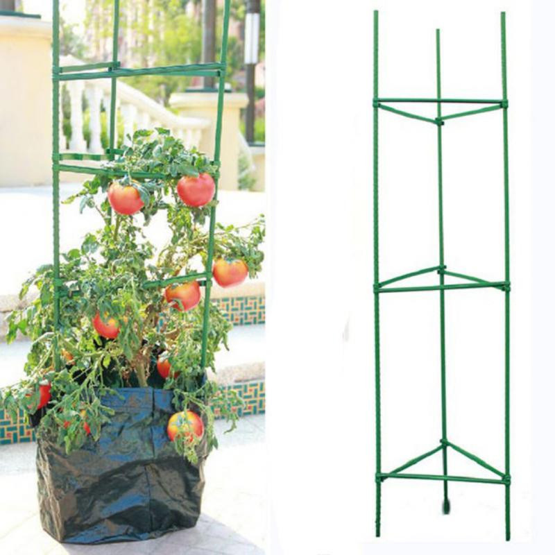 Klietky na rastliny Klietky na paradajky Extra pevné tyče Podpera rastlín Pevný domov pre vertikálne popínavé rastliny Záhradné potreby