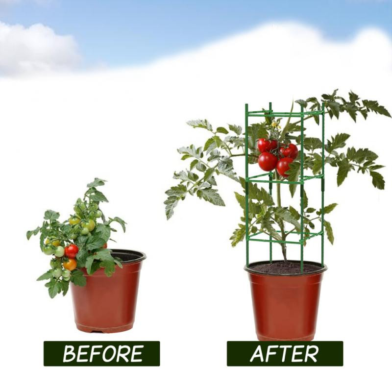 Klietky na rastliny Klietky na paradajky Extra pevné tyče Podpera rastlín Pevný domov pre vertikálne popínavé rastliny Záhradné potreby