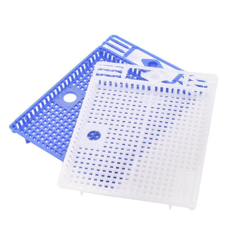 5 ks/sada Izolácia a zavádzacia klietka pre kráľovnú Plastová okrúhla plochá zavádzacia klietka pre kráľovnú