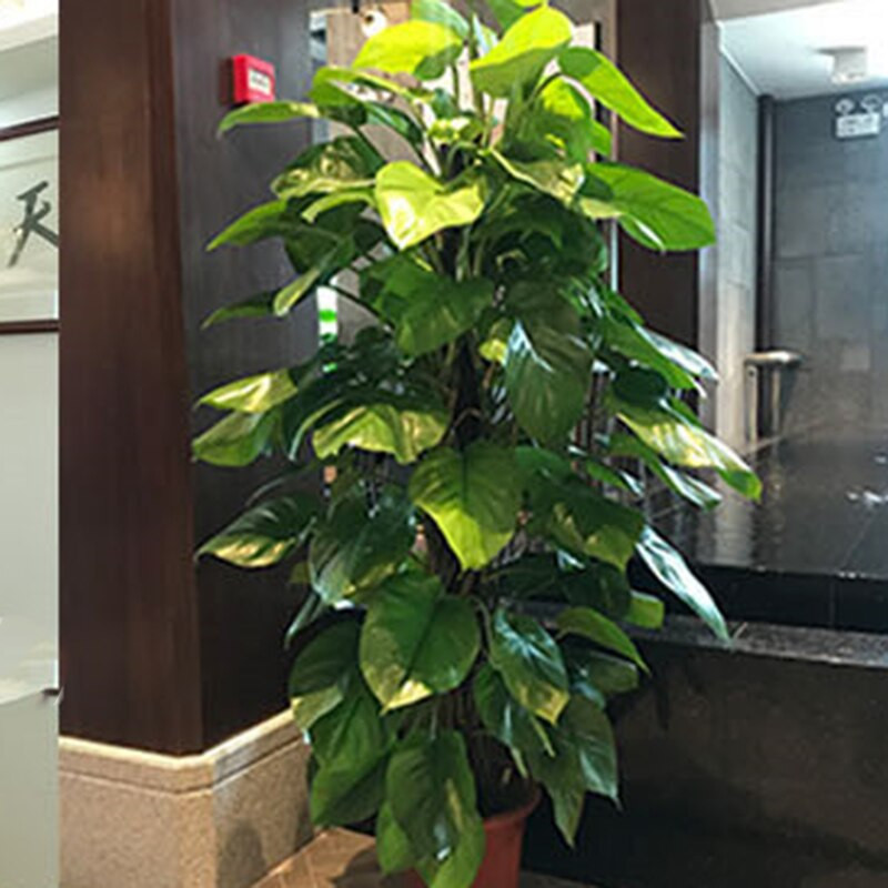 2 ks 43 cm popínavé rastliny, lezecké rámy, podpora rastlín, vysoko kvalitné kokosové machy, rozširovacie tyče pre totemové tyče pre rastliny Scindapsus