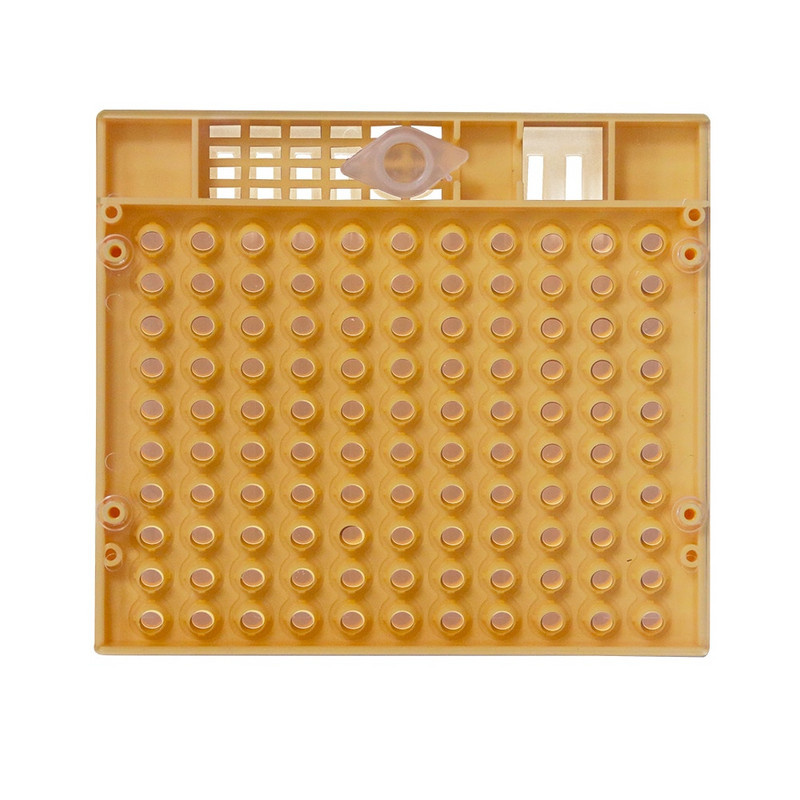 1 rinkinys| Nikot bičių karalienės auginimo rinkinys Plastikiniai bitininkystės įrankiai HoneyBee lervų sistema perkelkite kirmėles bitininkui