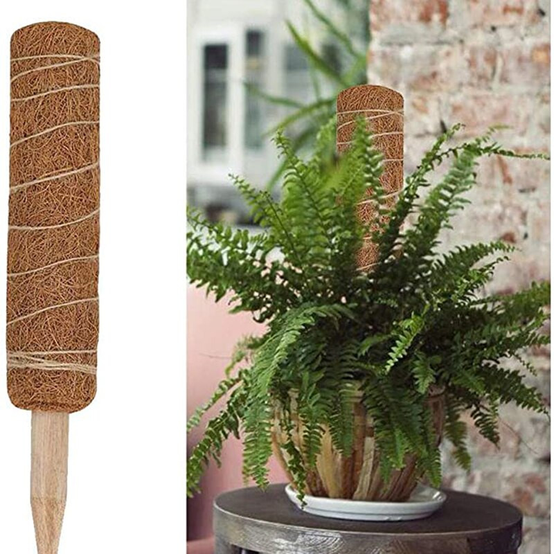 30/45 cm kokoso totemo stulpas, ištraukiamas samanų lazdelė kokoso pluošto totemo stulpas, skirtas stovo augalo pratęsimui laipiojant kambariniam augalui