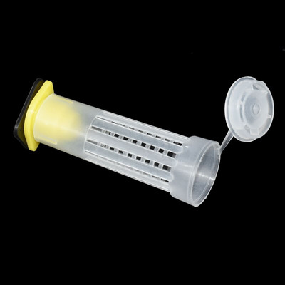 50db Bee Tools Méhészeti Királynőketrecek Védőhuzat Méhharapás elleni ketrec Wangtaipu huzat 78 mm Méhészeti eszközök