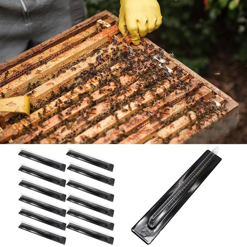 12 ks včelárskych pascí na chrobáky, kontrola Coleoptera, prevencia chytania, chytač, nástroj na chytanie malých úľov, poľnohospodárske náradie