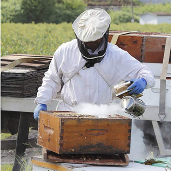 Smoker Beekeepingtool Equipment Beehive Beekeeper Supplies Hive Shield Heatmetal Tools Bees Honey Hiveskit Starter Simulator