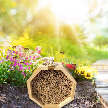 K5DC Bee Hive Bamboo Tube Bee Hotel for Solitary Bees Προσελκύστε τις μέλισσες στον κήπο Ξύλινη κυψέλη μελισσών για πασχαλίτσες Carpenter Bee House