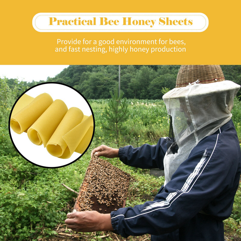 10/30 ks včelí medové listy, voskový základ pre úľ, včelárske vybavenie, hrebeňový medový rám, včelí úľ, včelárske nástroje, včelí med, listy