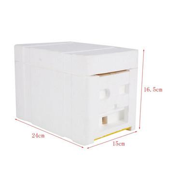 Bee Hive Beekeeping King Box Κουτί επικονίασης Πλαίσιο αφρού Πλαίσια μελισσοκομίας Εργαλείο