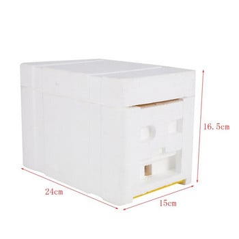 Bee Hive Beekeeping King Box Κιβώτιο επικονίασης Πλαίσιο αφρού Πλαίσια μελισσοκομίας Εργαλείο