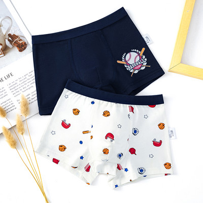 Dviejų vaikiškų bokserių komplektas su skirtingu raštu berniukams