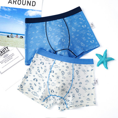 Dviejų vaikiškų bokserių komplektas su skirtingu raštu berniukams