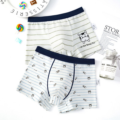 Dviejų vaikiškų bokserių komplektas su skirtingu raštu berniukams