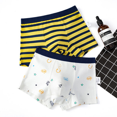 Dviejų vaikiškų bokserių komplektas su skirtingu raštu berniukams