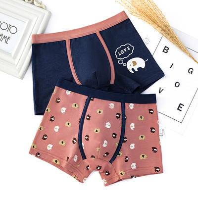 Dviejų vaikiškų bokserių komplektas su skirtingu raštu berniukams