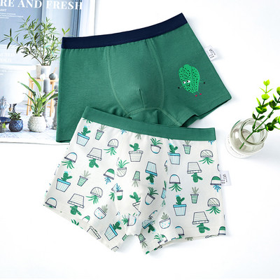 Dviejų vaikiškų bokserių komplektas su skirtingu raštu berniukams