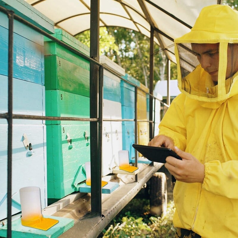Bičių avilys bitininkystei skirtas vandens dozatorius Honey Avilys įėjimo tiektuvas bičių geriamoji bitininkystės įranga bitininko įrankis 4 vnt.