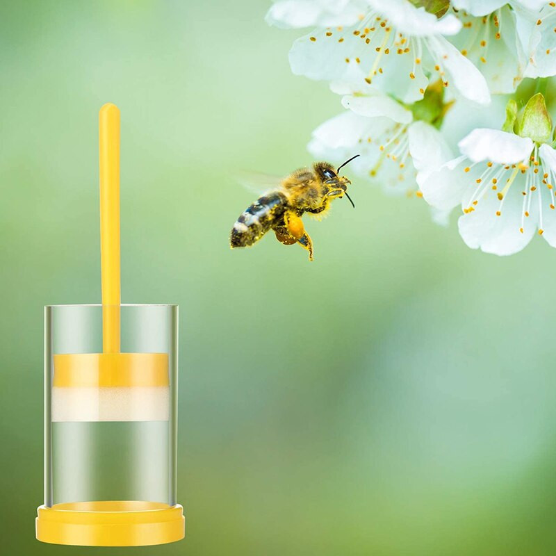 Bičių karalienės žymėjimo rinkinys, 2 karalienės žymėjimo narvelio vamzdeliai su 3 rašikliu bitės žymekliu, skirtu bitininko įrankiui