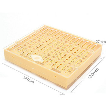 SHGO HOT-155pcs πλαστικό σύστημα εκτροφής βασίλισσας Κουτί καλλιέργειας κύπελλα κυττάρων Bee Catcher Κλουβί μελισσοκομίας Εξοπλισμός