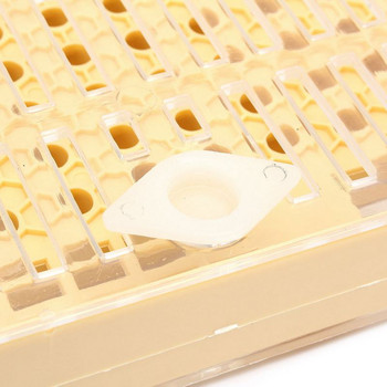 SHGO HOT-155pcs πλαστικό σύστημα εκτροφής βασίλισσας Κουτί καλλιέργειας κύπελλα κυττάρων Bee Catcher Κλουβί μελισσοκομίας Εξοπλισμός