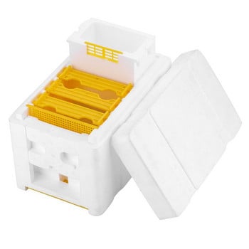 Bee Hive Beekeeping King Box Κουτί επικονίασης Πλαίσιο αφρού Πλαίσια μελισσοκομίας Εργαλείο