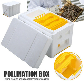 Ποιοτική Bee Hive Beekeeping King Box Κιβώτιο επικονίασης Αφρού Πλαίσια Μελισσοκομίας Εργαλειοθήκη