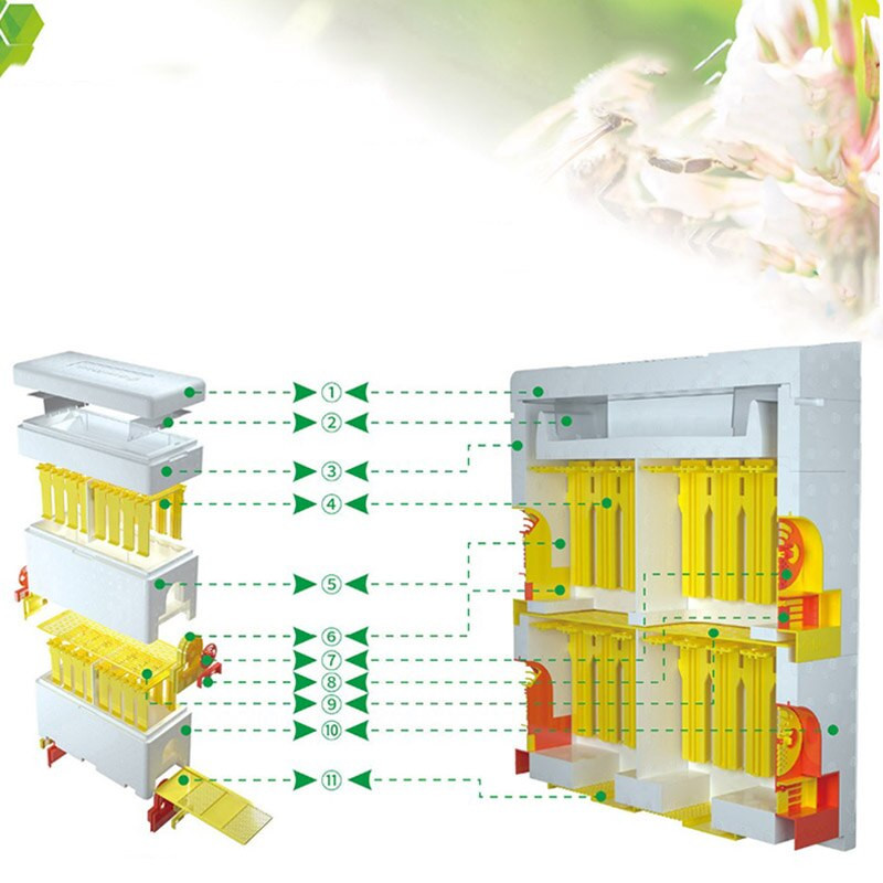 Včelí úľ Včelárstvo Kráľ Box Multifunkčný včelí úľ Plastový penový materiál Dvojitá krabica Kráľovný odchov úľa Včelárstvo T