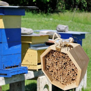 Ξύλινο μελισσοκομικό κουτί Queen Bee Nest Box Creative Bee Nest