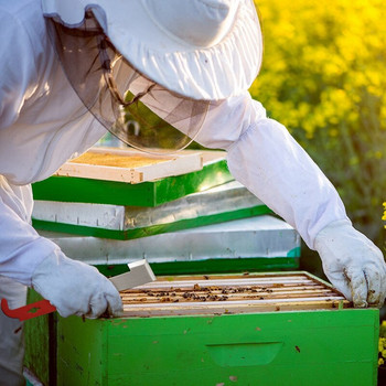 2 Συσκευασία μελισσοκομικού εργαλείου κυψέλης από ανοξείδωτο χάλυβα J Hook Bee ανυψωτικό πλαίσιο και εξοπλισμός ξύστρας για μελισσοκόμους